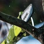 Best 5 Chainsaws For Home Use Gas & Electric In 2020 Reviews